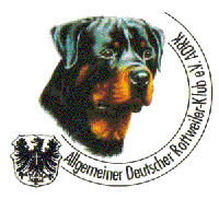 Rottweiler