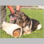 Abakus und sein Arm....JPG