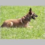 Akira bei der Ablage.JPG