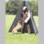 Daggi beim verbellen....JPG