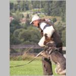 Dingo beim absetzen.JPG