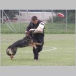 Geli beim bedrängen....JPG