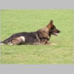 Geli vorm abrufen.JPG