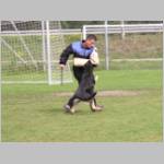 Giuseppe und Queen beim bedrängen.JPG