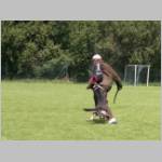 Queen beim absetzen....JPG