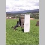 Queen beim verbellen.JPG