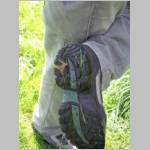 Sch... und das beim Gerhard!.JPG