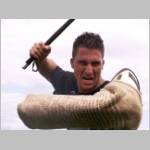 aggressiv Giuseppe....JPG