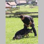 und nochmals Bestägung....JPG